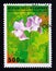 Postage stamp Guinea, 1995. Lathyrus odoratus flower