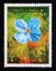 Postage stamp Guinea, 1995. Meconopsis betonicifolia flower