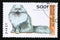 Postage stamp Guinea, 1996. Blue Persian cat breed Felis silvestris catus