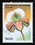 Postage stamp Guinea, 1997. Paphiopedilum sea clifft orchid flower