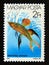 Postage stamp Hungary, Magyar, 1987. Threadfin rainbowfish iriatherina werneri