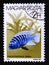 Postage stamp Hungary, Magyar, 1987. Zebra Mbuna Pseudotropheus zebra
