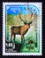 Postage stamp Kampuchea, Cambodia, 1984, Red Deer, Cervus elaphus