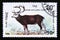 Postage stamp Laos, 1990. Brow antlered Deer Rucervus eldii