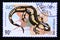 Postage stamp Laos, 1994. Common Fire Salamander Salamandra salamandra