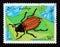 Postage stamp Laos, 1995. Common Cockchafer Melolontha melolontha insect