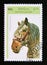 Postage stamp Laos 1996. Cold blooded Horse Equus ferus caballus