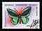 Postage stamp Madagascar, 1992. Common Green Birdwing Trogonoptera priamus butterfly