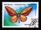 Postage stamp Madagascar, 1992. Wallace`s Golden Birdwing Trogonoptera croesus butterfly