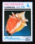 Postage stamp Nicaragua, 1988. West Indian Fighting Conch Strombus pugilis shell