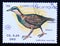 Postage stamp Nicaragua, 1990, Weka, Gallirallus australis