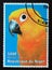 Postage stamp Niger, 1998. Parrot exotic bird