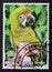 Postage stamp Niger, 1998. Parrot exotic bird