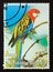 Postage stamp Niger, 1998. Parrot exotic bird