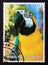 Postage stamp Niger, 1998. Parrot exotic bird