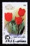 Postage stamp North Korea, 1989. Garden tulip Tulipa gesneriana flower