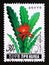 Postage stamp North Korea, 1990. Phyllocactus hybridus cactus flower