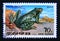 Postage stamp North Korea, 1992. Dark spotted Frog Rana nigromaculata