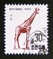 Postage stamp North Korea, 1995. Giraffe Giraffa camelopardalis