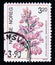 Postage stamp Norway 1990. Dactylorhiza fuchsii Common Spotted Orchid flower