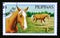 Postage stamp Philippines 1985. Palomino Horse breed Equus ferus caballus