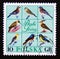 Postage stamp Poland, 1966. Forest Birds