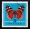 Postage stamp Poland, 1967. Red Admiral Vanessa atalanta butterfly