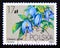 Postage stamp Poland, 1984. Alpine Clematis Clematis alpina flower