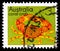 Postage stamp printed in Australia shows Coral Crab Trapezia areolata, Marine animals and minerals serie, circa 1973