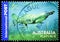 Postage stamp printed in Australia shows Duck-billed Platypus Ornithorhynchus anatinus, Australian Native Wildlife -