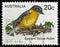 Postage stamp printed in Australia shows Eastern Yellow Robin (Eopsaltria australis), Birds serie, circa 1979