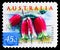 Postage stamp printed in Australia shows Native Fuschia - Correa reflexa, Nature of Australia - Coastal Flowers serie, circa 1999