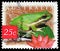 Postage stamp printed in Australia shows Northern Dwarf Tree Frog Litoria bicolor, Indian Lotus Nelumbo nucifera, Flora and