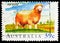 Postage stamp printed in Australia shows Poll Dorset & x28;Ovis ammon aries& x29;, Sheep serie, circa 1989