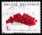 Postage stamp printed in Belgium shows Fruit Selfadhesive - Red berry, Fruits serie, circa 2007