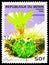 Postage stamp printed in Benin shows Astrophytum Senile, Cacti serie, circa 1996