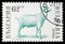 Postage stamp printed in Bulgaria shows Goat (Capra hircus), Domesticated animals serie, circa 1991