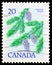 Postage stamp printed in Canada shows Douglas Fir, Pseudotsuga menziesii, Definitives 1977-79 (Leaves) serie, circa 1977
