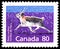 Postage stamp printed in Canada shows Peary Caribou Rangifer tarandus pearyi, Definitives 1988-93: Canadian Mammals serie, circa