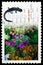 Postage stamp printed in Canada shows Rock Garden, Lizard, Gardens serie, circa 2006