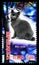 Postage stamp printed in Chad shows Bleu russe, Cats serie, circa 2013