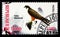 Postage stamp printed in Chad shows Falco eleonorae, Birds of prey serie, circa 2013