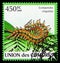 Postage stamp printed in Comoros shows Megarian Banded Centipede Scolopendra cingulata, Centipedes serie, circa 2009