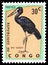 Postage stamp printed in Congo shows African Openbill Anastomus lamelligerus, Protected Birds serie, circa 1963