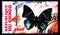 Postage stamp printed in Congo shows Charaxes smaragdalis, Butterflies serie, circa 2013