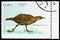 Postage stamp printed in Cuba shows Weka Gallirallus australis, International Philatelic Exhibition New Zealand-90 serie, circa