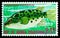 Postage stamp printed in Equatorial Guinea shows Green Pufferfish Tetraodon fluviatilis, Fishes I exotic serie, circa 1975