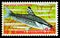 Postage stamp printed in Equatorial Guinea shows Spotted Headstander Chilodus punctatus, Fishes I exotic serie, circa 1975