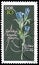 Postage stamp printed in Germany shows Gentiana pneumonanthe, Protected local plants serie, circa 1966