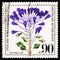 Postage stamp printed in Germany shows Grape hyacinth, Welfare: Endangered Wild Flowers serie, circa 1980